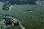 The mysterious crop circle in "Signs"