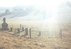 The cemetary in "The Village"